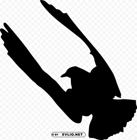 bird silhouette PNG Image Isolated with HighQuality Clarity