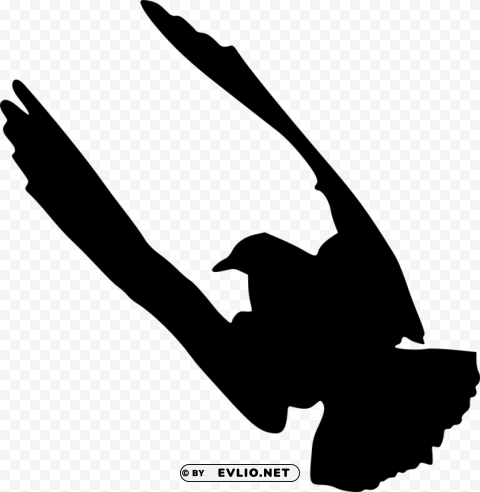 Bird Silhouette PNG Image Isolated With HighQuality Clarity