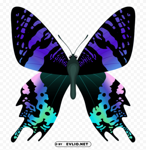 Butterfly PNG Images For Banners