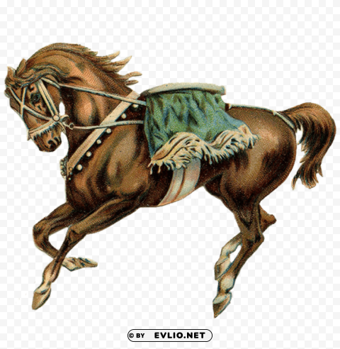 Circus Horse Green Saddle PNG For T-shirt Designs