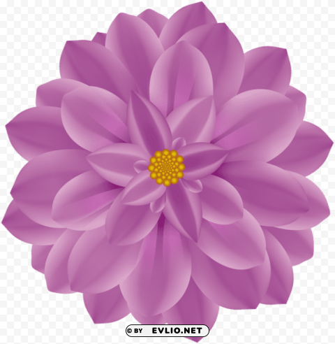 Flower Large PNG For Educational Projects