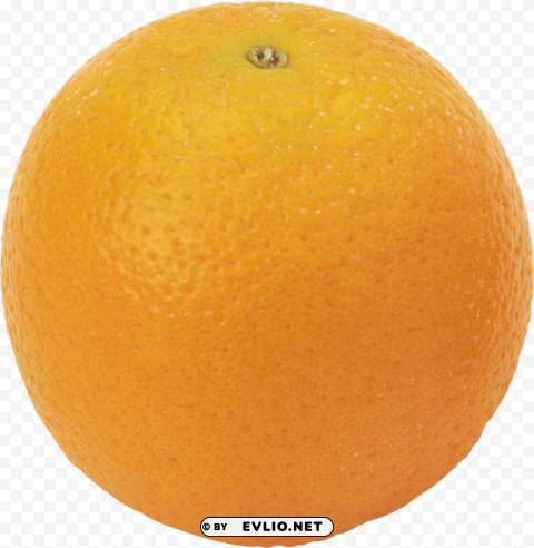 orange orange PNG transparent elements compilation