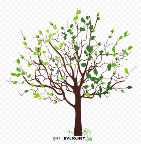 Spring Tree With Snowdropspicture PNG With Transparent Background Free