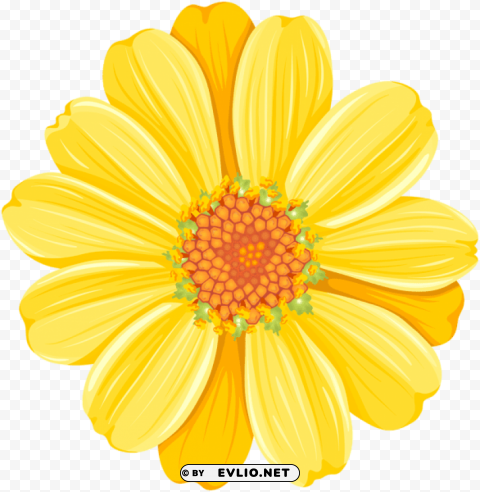 yellow daisy Isolated PNG Graphic with Transparency
