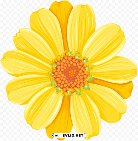 PNG image of yellow daisy Isolated PNG Graphic with Transparency with a clear background - Image ID 3433d7ac