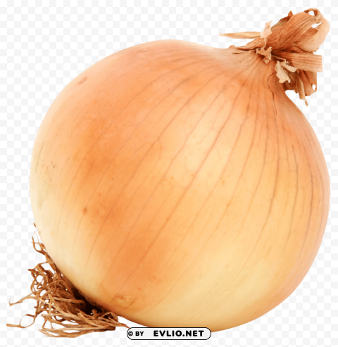 brown onion PNG graphics with transparent backdrop PNG images with transparent backgrounds - Image ID 6f2812df