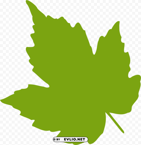 Grape Leaf Transparent Graphics