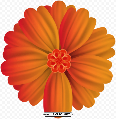 PNG image of orange flower deco PNG images with no background assortment with a clear background - Image ID b55cc8b2
