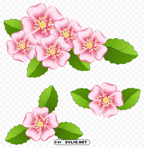 pink flowers Transparent Background Isolated PNG Design Element