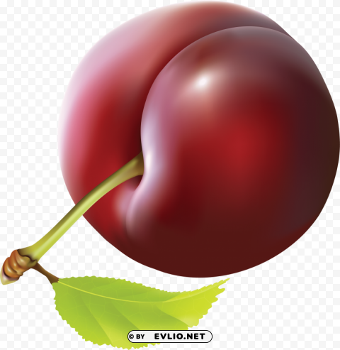plum High-quality PNG images with transparency clipart png photo - 9d99209b