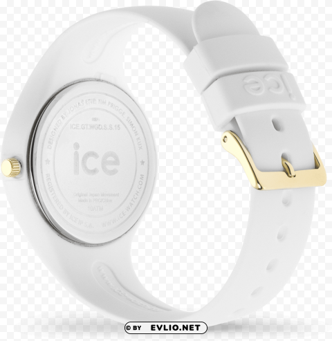 watch ice duo Clean Background Isolated PNG Illustration