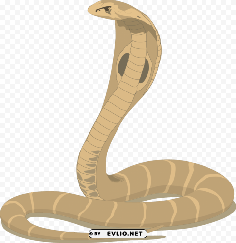 anaconda pics PNG transparency png images background - Image ID df9e2564