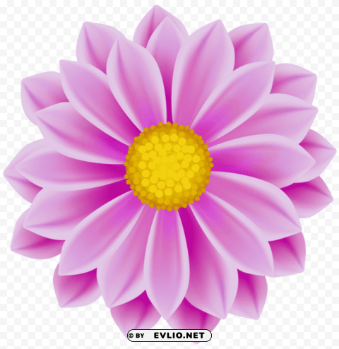 Flower Pink PNG Files With Transparent Backdrop