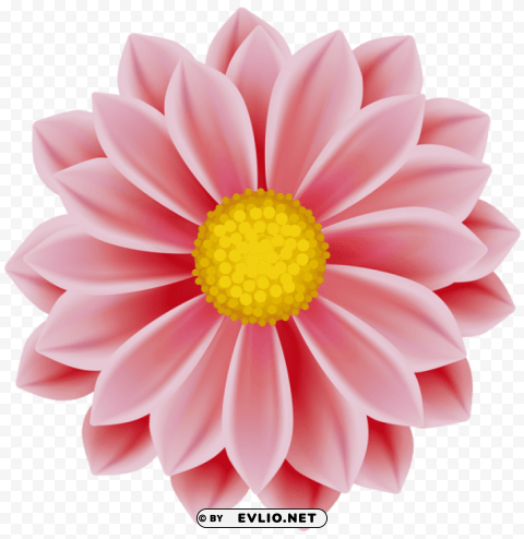 flower PNG files with transparent canvas extensive assortment