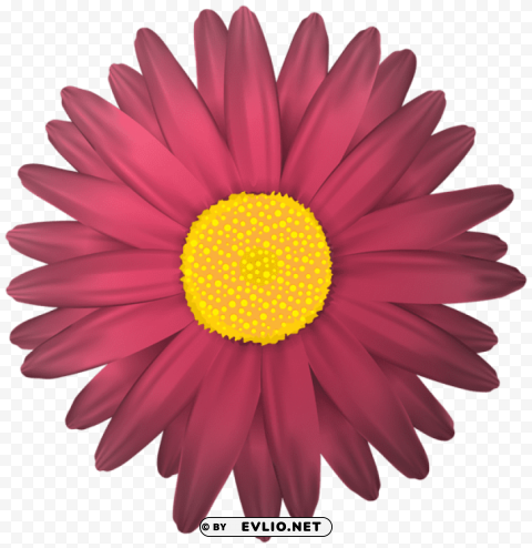 flower transparent PNG Graphic Isolated on Clear Background Detail