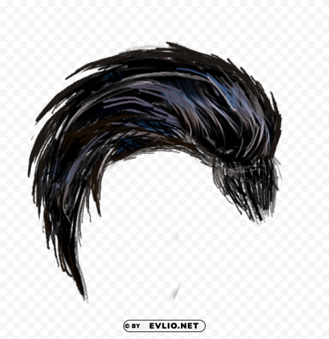hair High Resolution PNG Isolated Illustration