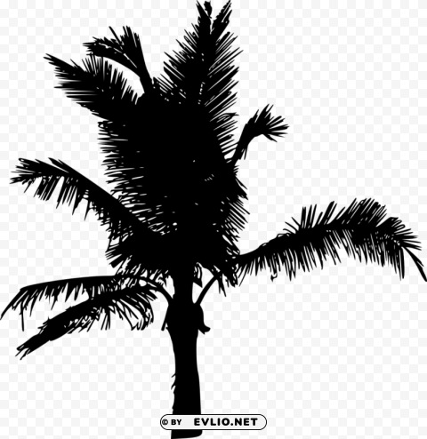 Palm Tree Silhouette Clean Background Isolated PNG Object