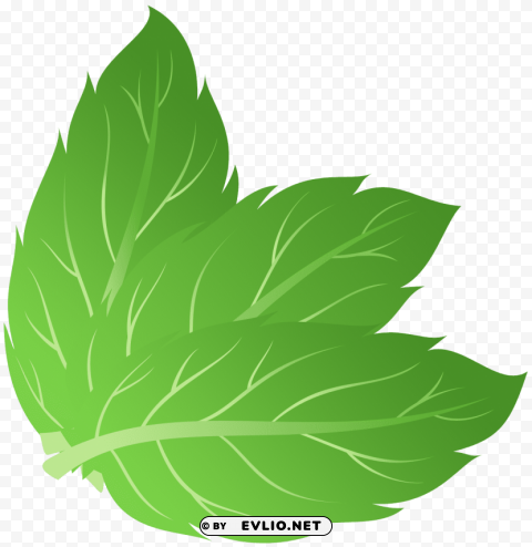 pepermint Transparent PNG Isolated Design Element clipart png photo - f1523784