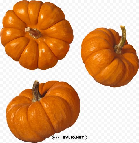 pumpkin PNG with transparent overlay PNG images with transparent backgrounds - Image ID 71b3eb75