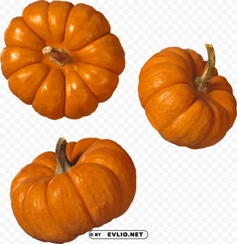 pumpkin PNG with transparent overlay