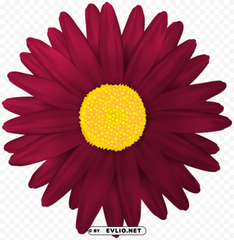 red flower transparent PNG Image with Clear Isolation