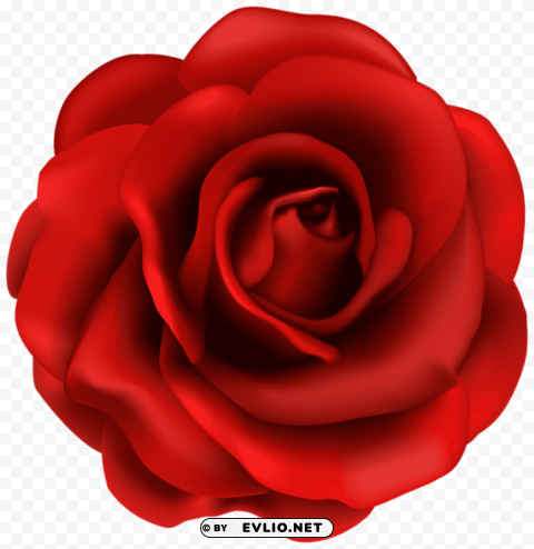 Red Rose Flower HighResolution PNG Isolated Illustration