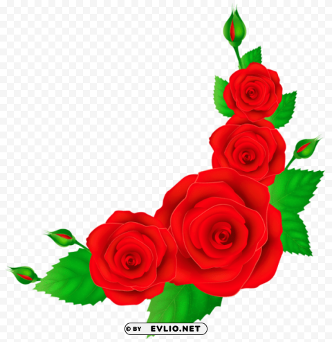 red roses corner PNG with alpha channel