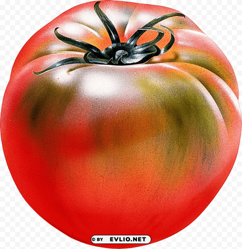 red tomatoes Isolated Graphic with Transparent Background PNG