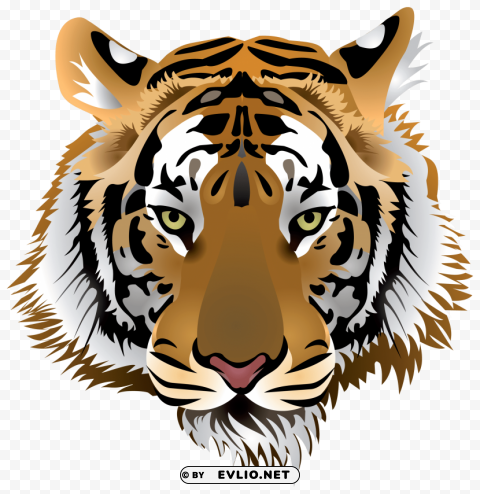 tiger head PNG Image with Transparent Background Isolation