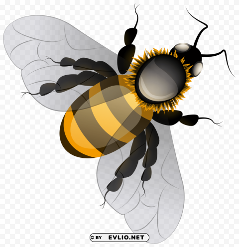 bee PNG free transparent clipart png photo - c8471b7b