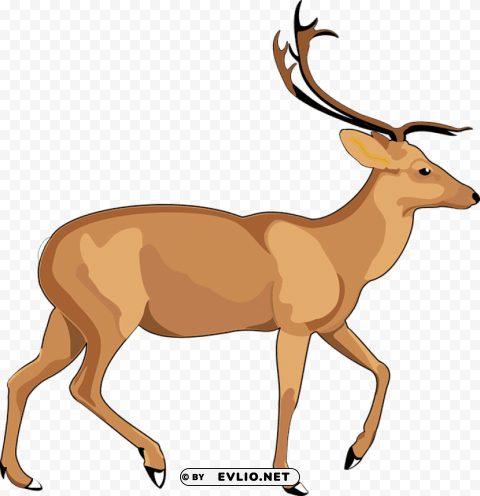 elk PNG pictures without background
