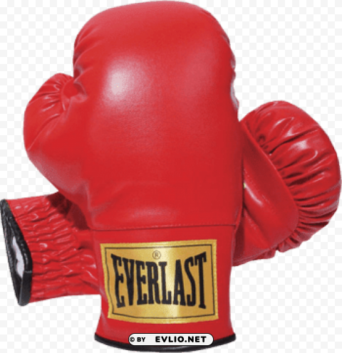 everlast boxing gloves High-quality transparent PNG images comprehensive set