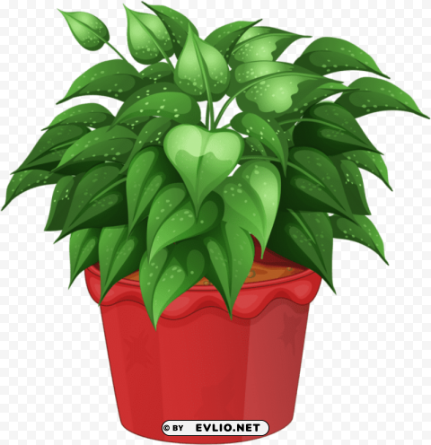 flower in pot PNG for blog use