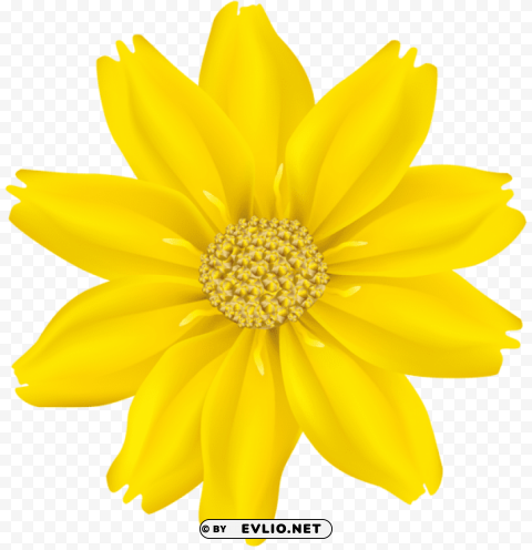 PNG image of flower yellow PNG images for printing with a clear background - Image ID 75a5a434