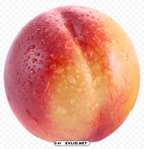 nectarine PNG images with alpha transparency diverse set