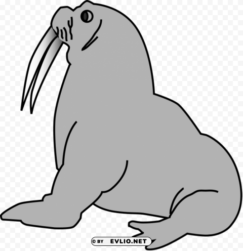 walrus Clear PNG pictures package png images background - Image ID 77f0f031