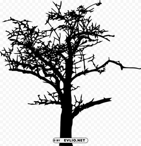 bare tree silhouette Isolated Artwork with Clear Background in PNG