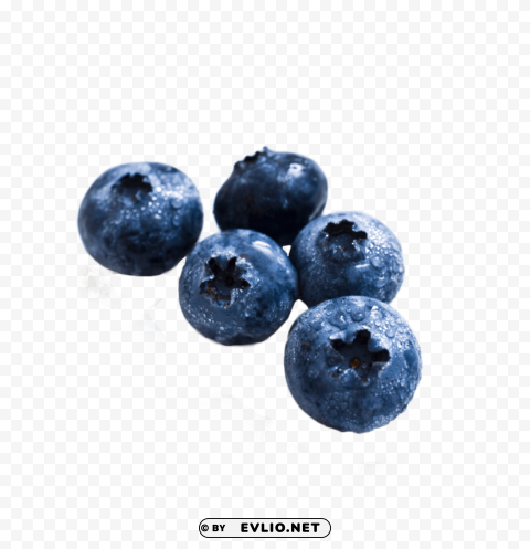 blueberry Transparent PNG Isolated Element with Clarity