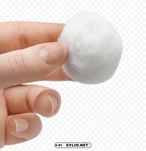 cotton ball Isolated Subject on Clear Background PNG