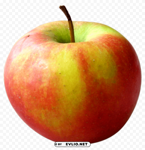 Fresh Apple PNG images with alpha background