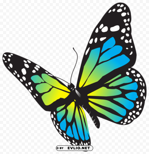 large butterfly PNG images for editing clipart png photo - 089a5368