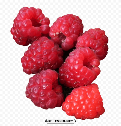 Raspberry Isolated Object on Clear Background PNG