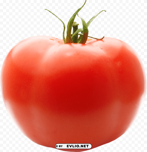 tomato Transparent PNG images wide assortment