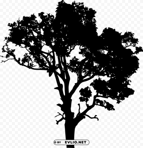 tree silhouette HighResolution Transparent PNG Isolated Graphic