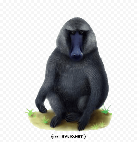 baboon Transparent Background PNG Isolated Graphic