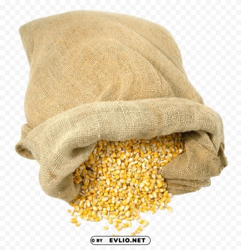 Bag Of Maize PNG For Design