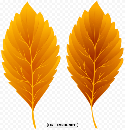 Fall Leaves Transparent Pics