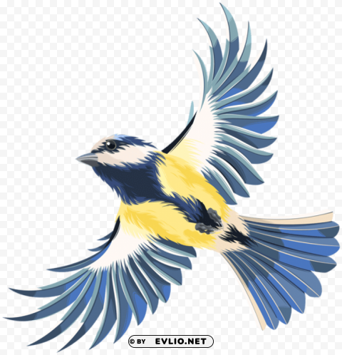 Flying Bird High-quality Transparent PNG Images