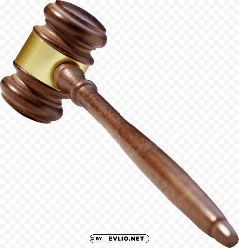 gavel Isolated Character in Transparent PNG