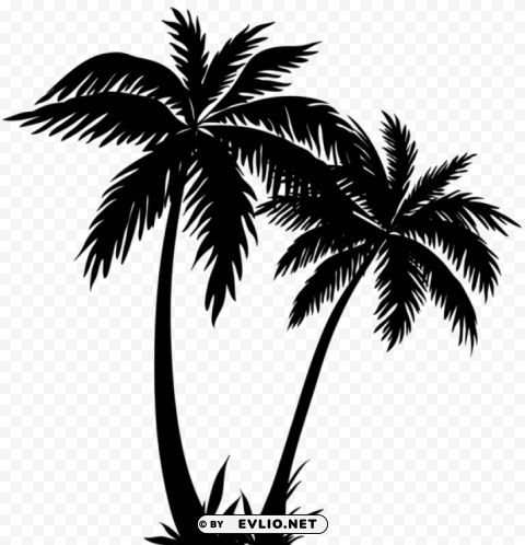 palm trees silhouette PNG images with clear alpha channel broad assortment